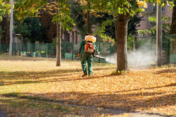 Best Ant Control Services  in Southwest Sandhill, TX
