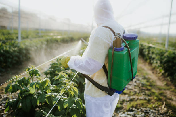 Best Local Pest Control Services  in Southwest Sandhill, TX